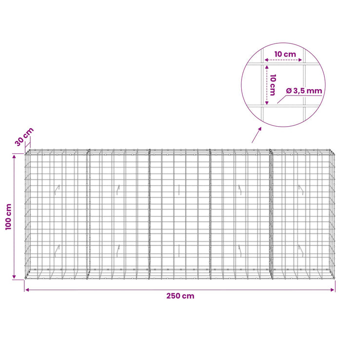 Gabion cu Fir de 3,5 mm și Plasă de 10x10 cm 250x30x100 cm WALTI