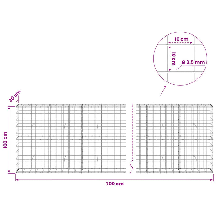 Gabion cu Fir de 3,5 mm și Plasă de 10x10 cm 700x30x100 cm WALTI