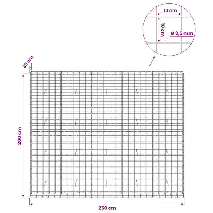 Gabion cu Fir de 3,5 mm și Plasă de 10x10 cm 250x30x200 cm WALTI