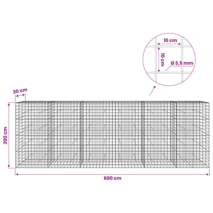 Gabion cu Fir de 3,5 mm și Plasă de 10x10 cm 600x30x200 cm WALTI