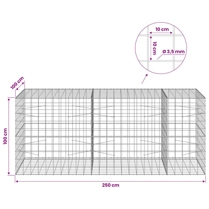 Gabion cu Fir de 3,5 mm și Plasă de 10x10 cm 250x100x100 cm WALTI