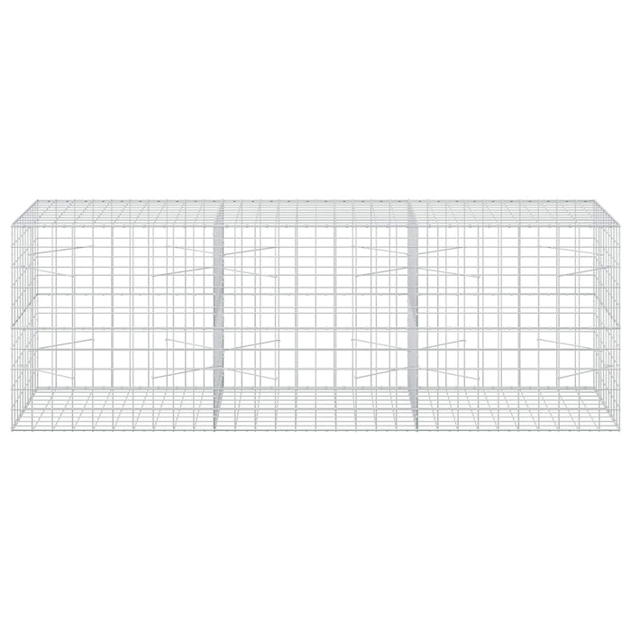 Gabion cu Fir de 3,5 mm și Plasă de 10x10 cm 300x100x100 cm WALTI