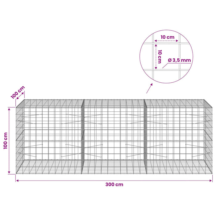 Gabion cu Fir de 3,5 mm și Plasă de 10x10 cm 300x100x100 cm WALTI