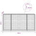  WALTI