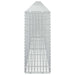 Gabion cu Fir de 5 mm și Plasă de 5x2,5 cm 950x20x50 cm - WALTI WALTI