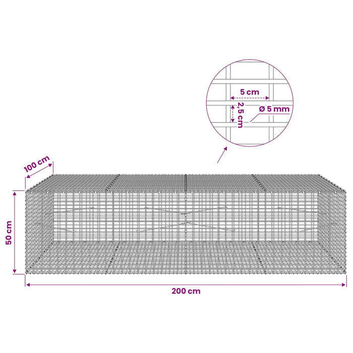 Gabion cu Fir de 5 mm și Plasă de 5x2,5 cm 200x100x50 cm WALTI
