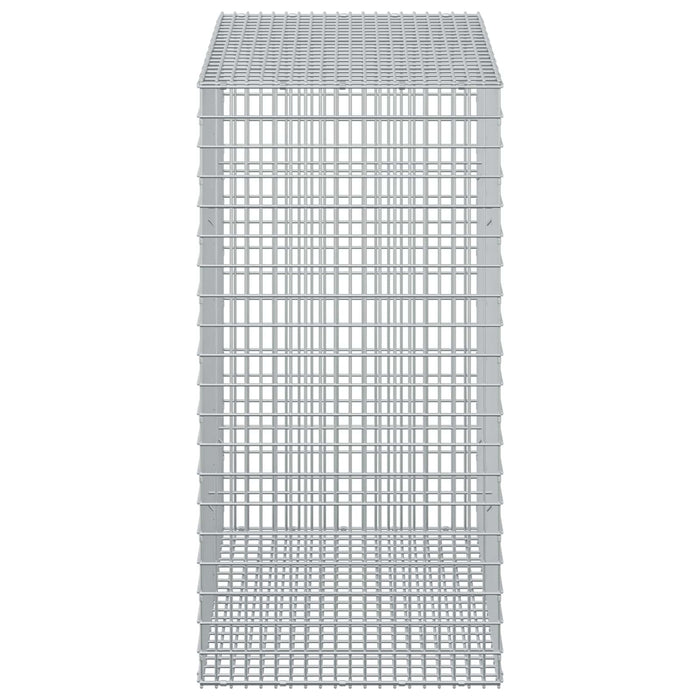 Gabion cu Fir de 5 mm și Plasă de 5x2,5 cm 50x100x100 cm WALTI