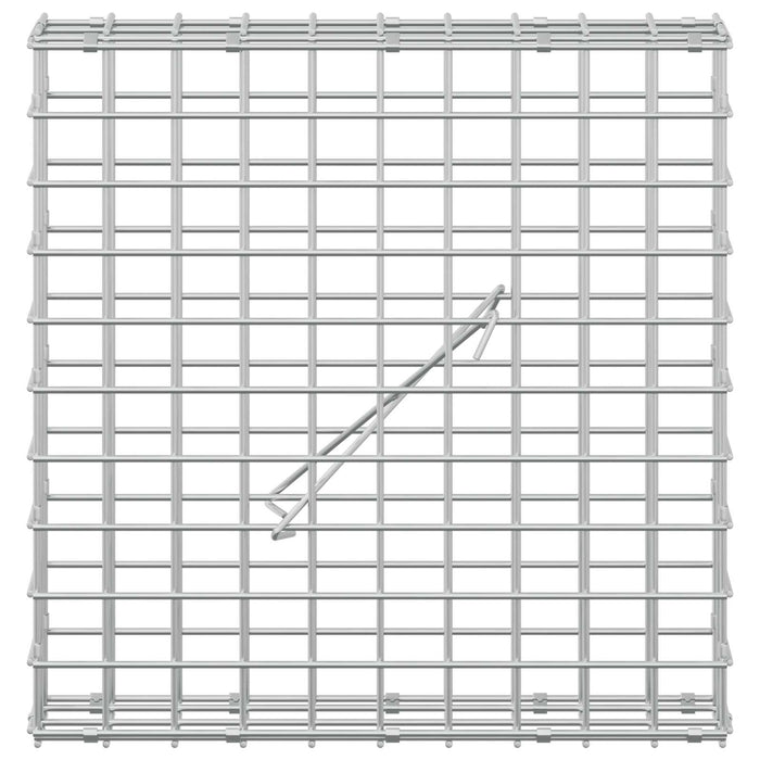Gabion cu sârmă de 5 mm și plasă de 5x5 cm 50x10x50 cm WALTI