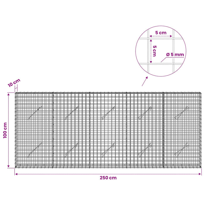 Gabion cu sârmă de 5 mm și plasă de 5x5 cm 250x10x100 cm WALTI