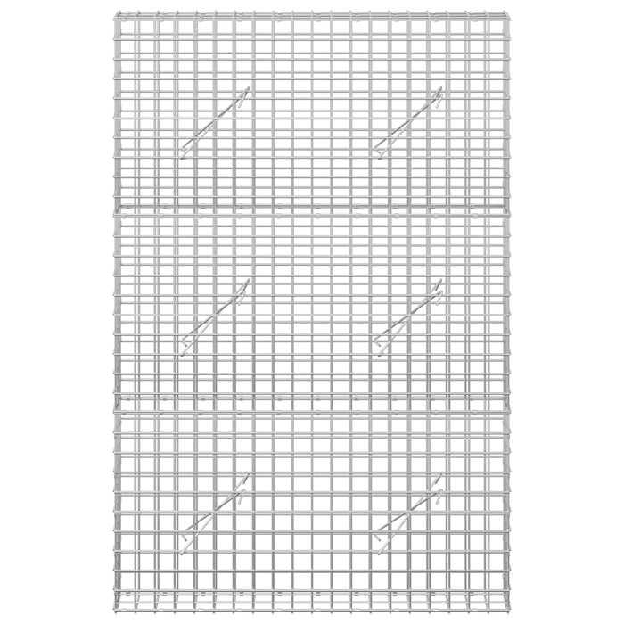 Gabion cu sârmă de 5 mm și plasă de 5x5 cm 100x10x150 cm WALTI