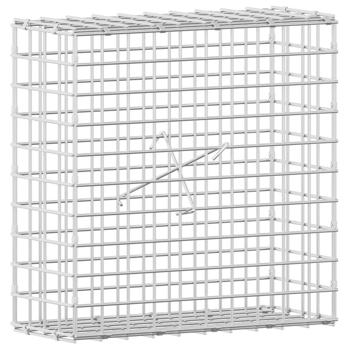 Gabion cu sârmă de 5 mm și plasă de 5x5 cm 50x20x50 cm WALTI