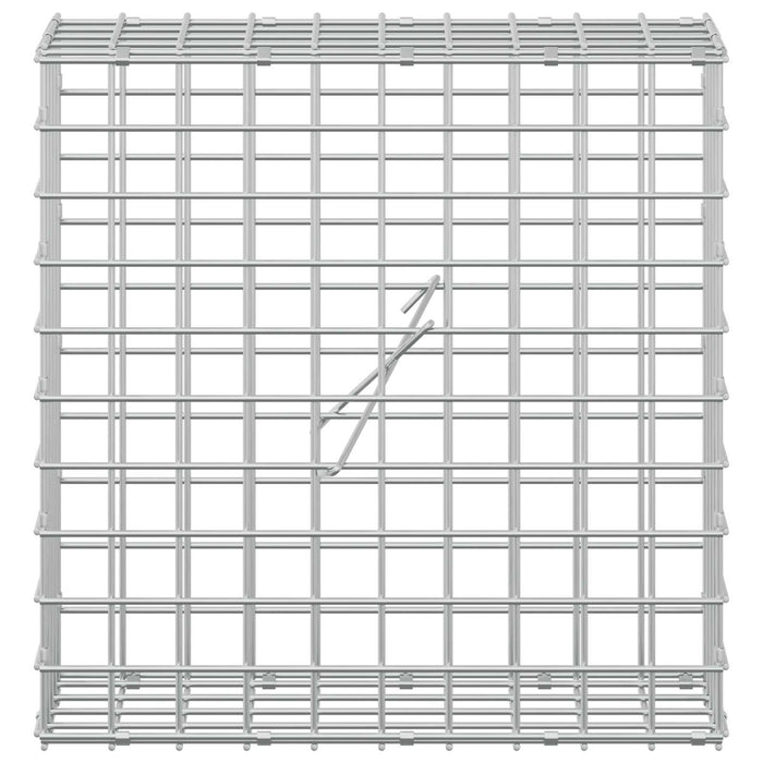 Gabion cu sârmă de 5 mm și plasă de 5x5 cm 50x20x50 cm WALTI