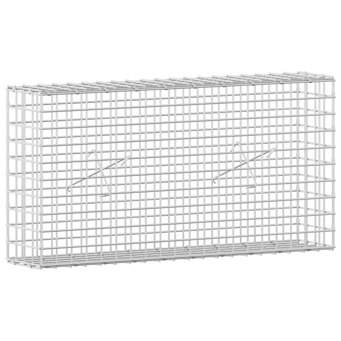Gabion cu sârmă de 5 mm și plasă de 5x5 cm 100x20x50 cm WALTI