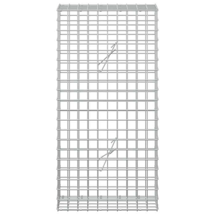 Gabion cu sârmă de 5 mm și plasă de 5x5 cm 50x20x100 cm WALTI