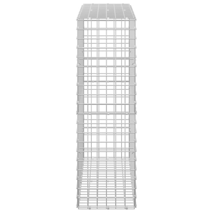 Gabion cu sârmă de 5 mm și plasă de 5x5 cm 100x30x100 cm WALTI