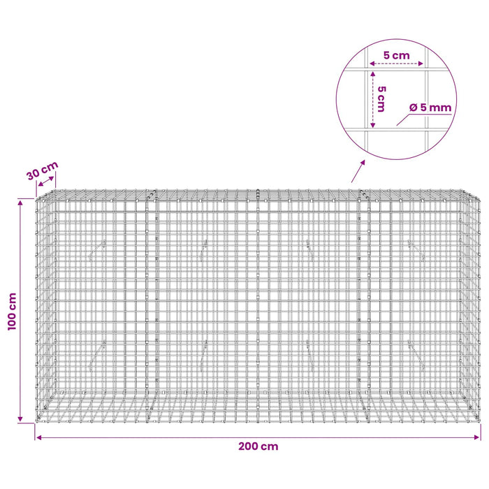 Gabion cu sârmă de 5 mm și plasă de 5x5 cm 200x30x100 cm WALTI