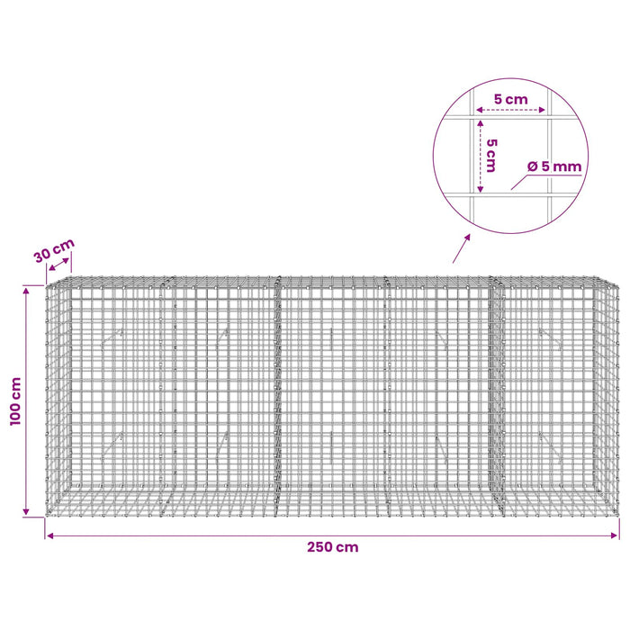 Gabion cu sârmă de 5 mm și plasă de 5x5 cm 250x30x100 cm WALTI