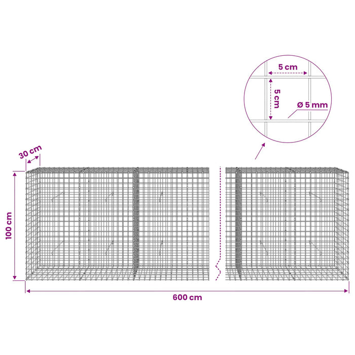 Gabion cu sârmă de 5 mm și plasă de 5x5 cm 600x30x100 cm WALTI