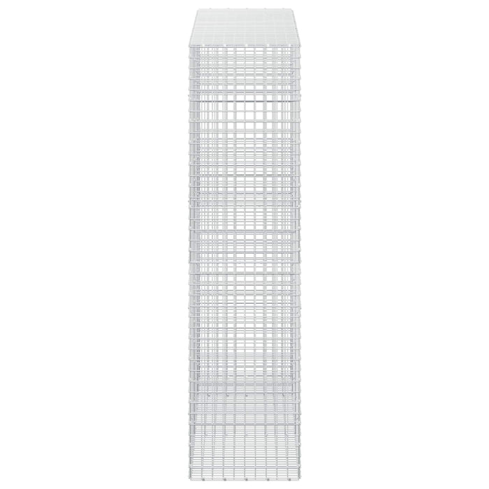 Gabion cu sârmă de 5 mm și plasă de 5x5 cm 250x50x200 cm WALTI