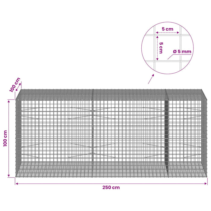Gabion cu sârmă de 5 mm și plasă de 5x5 cm 250x100x100 cm WALTI