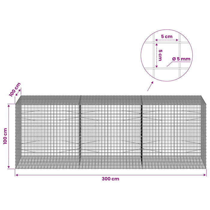 Gabion cu sârmă de 5 mm și plasă de 5x5 cm 300x100x100 cm WALTI