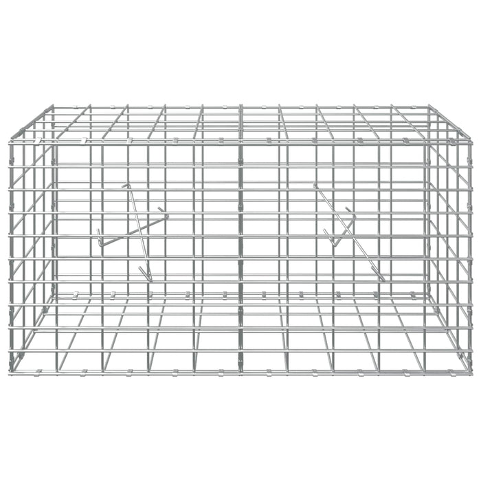 Gabion cu Sârmă de 5 mm și Plasă de 5x10 cm 100x20x50 cm WALTI