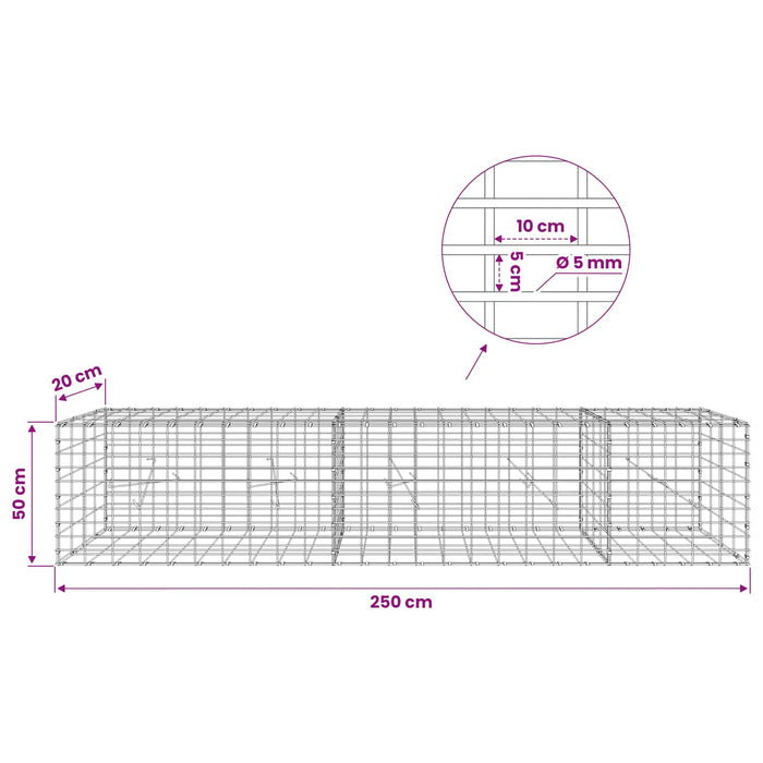 Gabion cu Sârmă de 5 mm și Plasă de 5x10 cm 250x20x50 cm WALTI