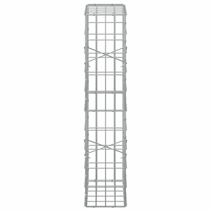 Gabion cu Sârmă de 5 mm și Plasă de 5x10 cm 50x20x100 cm WALTI