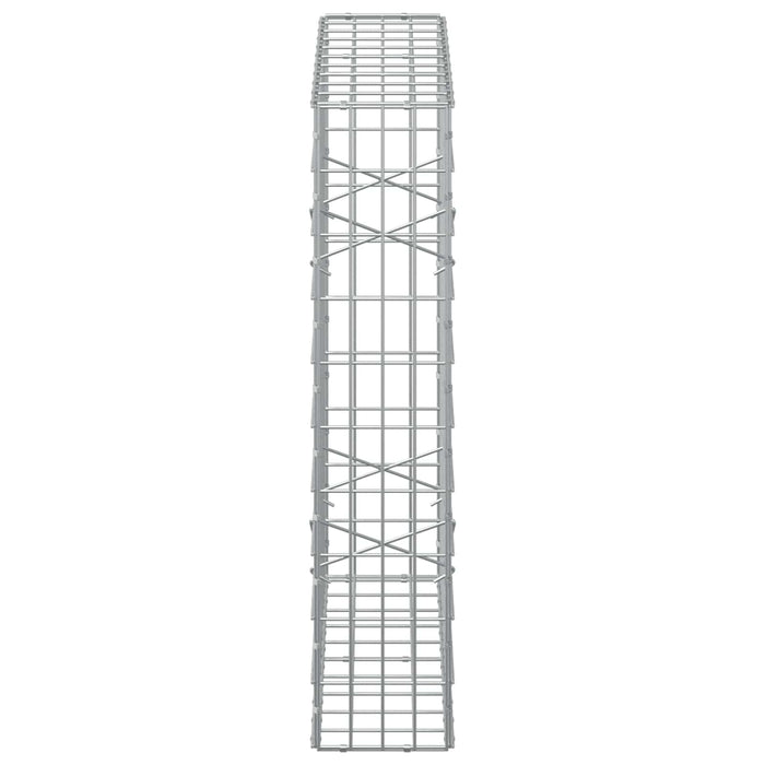 Gabion cu Sârmă de 5 mm și Plasă de 5x10 cm 100x20x100 cm WALTI