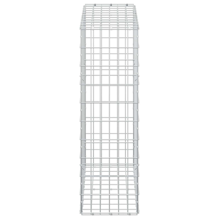 Gabion cu Sârmă de 5 mm și Plasă de 5x10 cm 100x30x100 cm WALTI