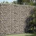  WALTI