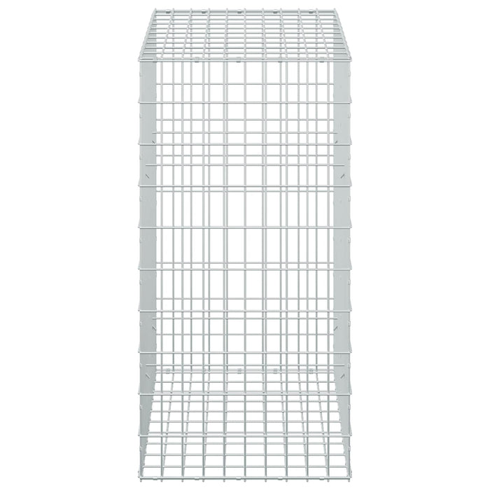 Gabion cu Sârmă de 5 mm și Plasă de 5x10 cm 50x100x100 cm WALTI