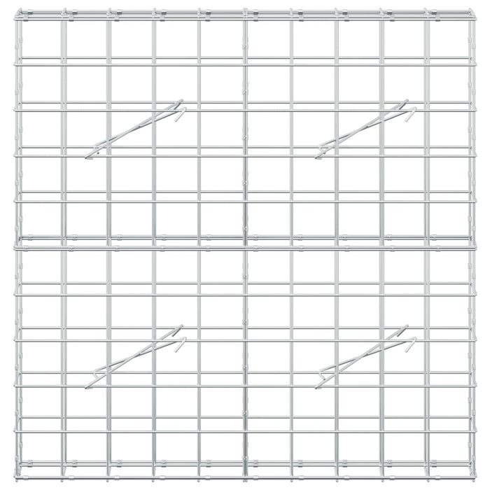 Gabion cu fir de 5 mm și plasă de 10x10 cm 100x10x100 cm - WALTI WALTI