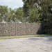  WALTI