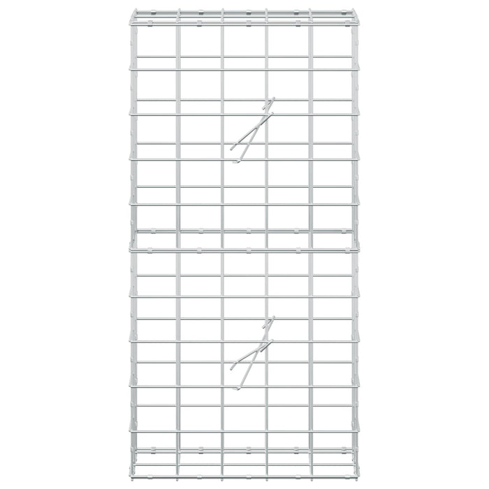 Gabion cu fir de 5 mm și plasă de 10x10 cm 50x20x100 cm WALTI