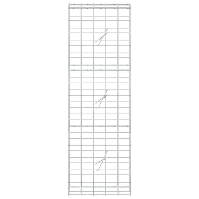Gabion cu fir de 5 mm și plasă de 10x10 cm 50x20x150 cm WALTI
