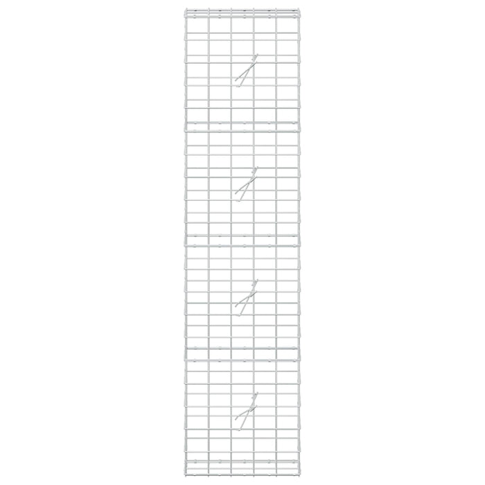 Gabion cu fir de 5 mm și plasă de 10x10 cm 50x20x200 cm WALTI
