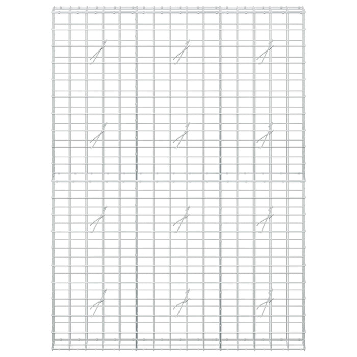 Gabion cu fir de 5 mm și plasă de 10x10 cm 150x20x200 cm WALTI