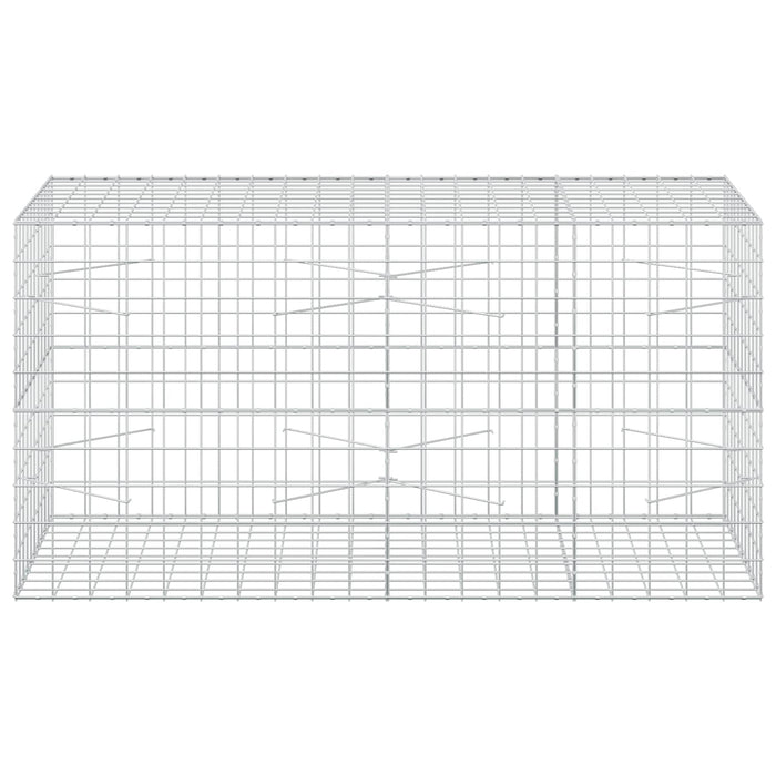 Gabion cu fir de 5 mm și plasă de 10x10 cm 200x100x100 cm WALTI