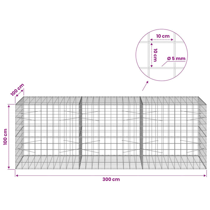 Gabion cu fir de 5 mm și plasă de 10x10 cm 300x100x100 cm WALTI