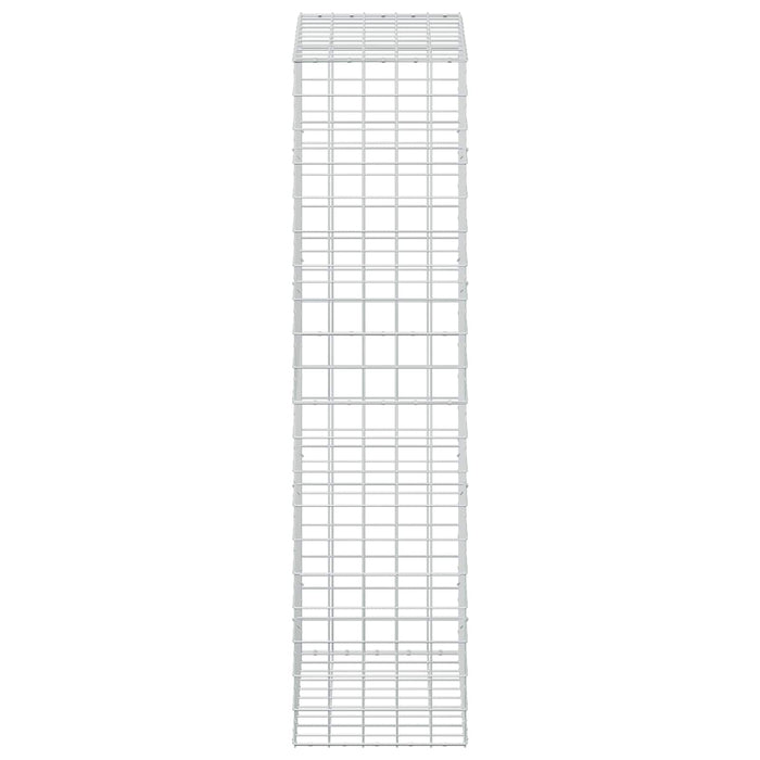Gabion cu fir de 5 mm și plasă de 10x10 cm 50x100x200 cm WALTI