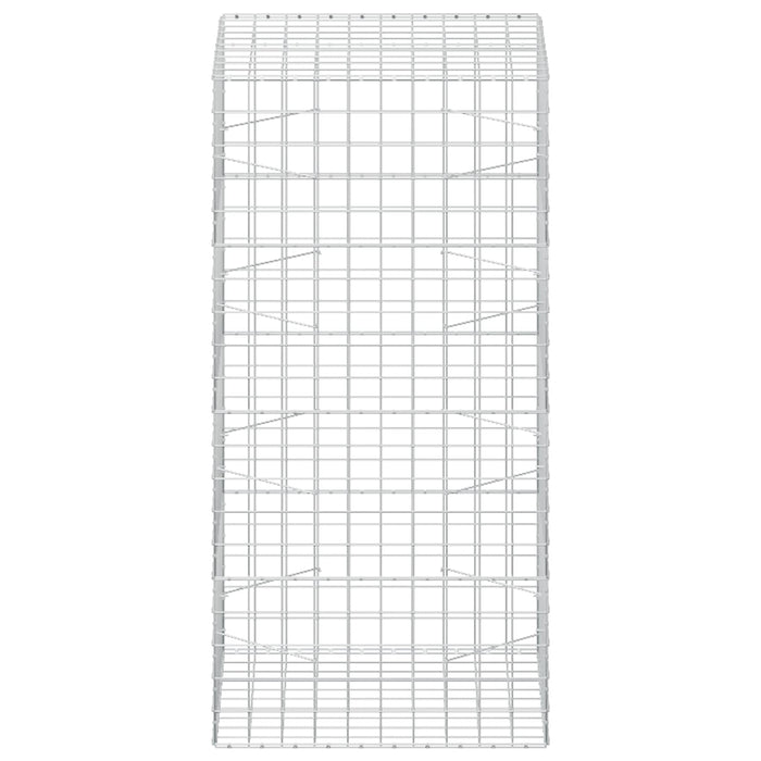 Gabion cu fir de 5 mm și plasă de 10x10 cm 100x100x200 cm WALTI