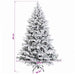  WALTI