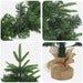 Set mini brad de Crăciun 60 cm PVC și PE Verde - WALTI WALTI