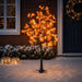 Copac de Crăciun tip arțar, cu LED Maro 22 x 22 x 150 cm - WALTI WALTI