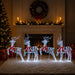 Ren de Crăciun 4 buc. 180 LED-uri Alb rece 43 x 19 x 65 cm - WALTI WALTI
