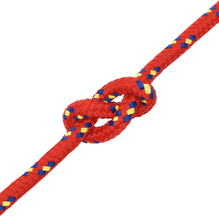 Frânghie utilitară multifuncțională 12 mm 100 m Roșu PP WALTI
