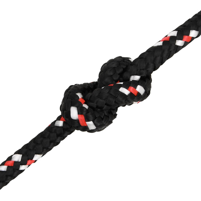 Frânghie utilitară multifuncțională 10 mm 100 m Negru și roșu WALTI