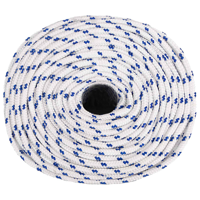 Frânghie utilitară multifuncțională 10 mm 100 m Alb și albastru WALTI