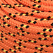  WALTI